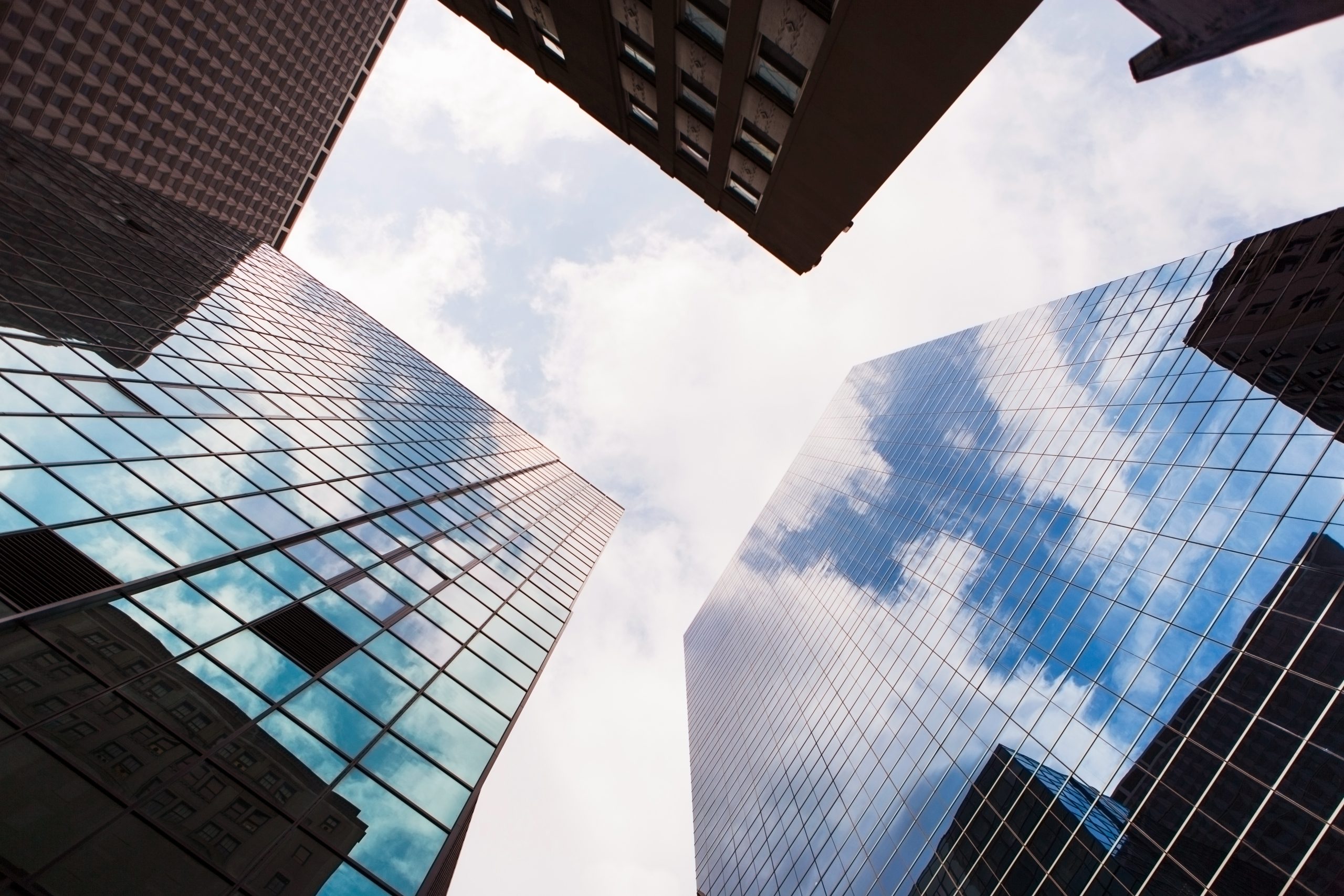 Forging a Secure Digital Future