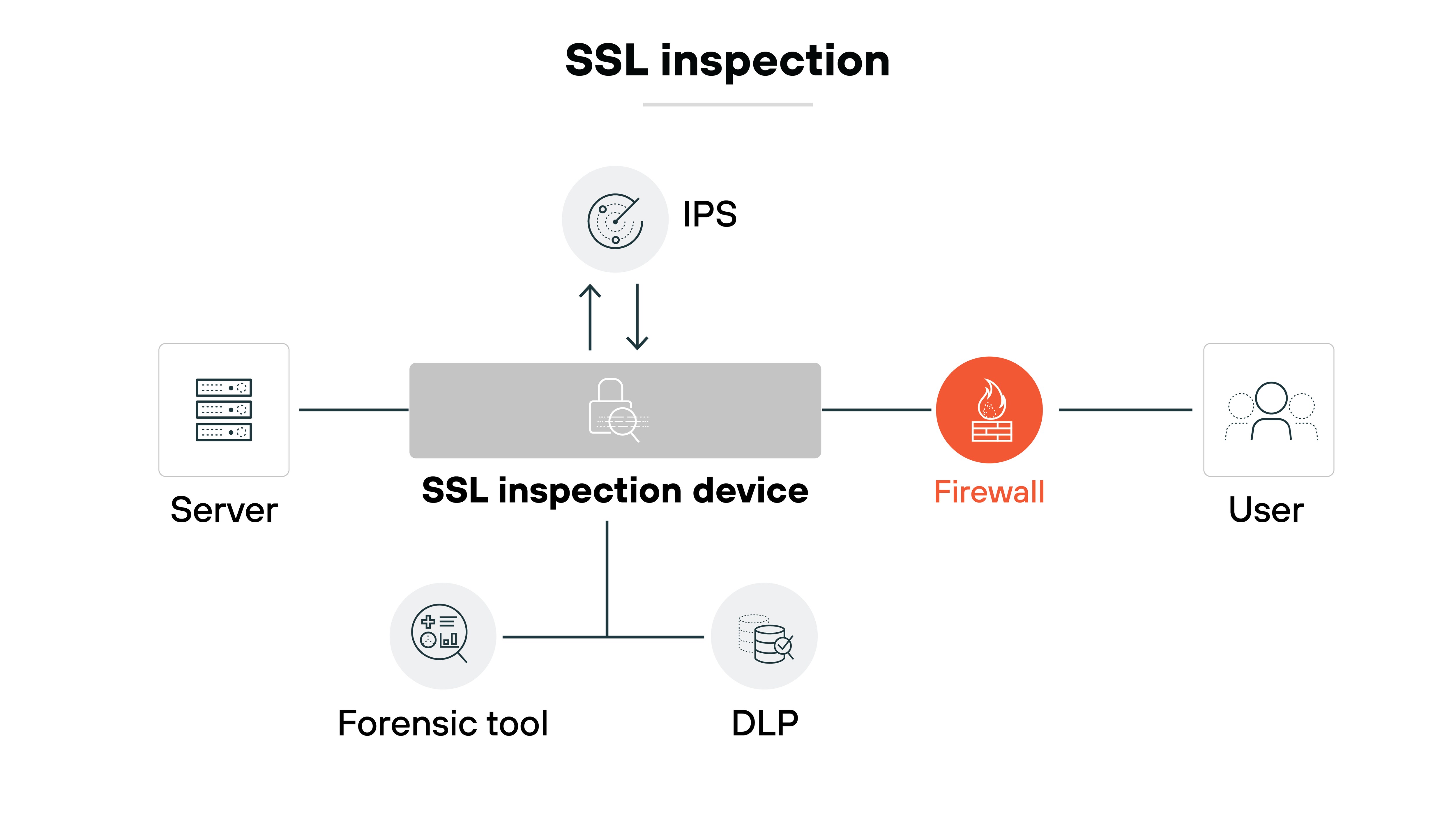 Architecture diagram illustrating the process of SSL inspection within a network security framework. On the left, a server is connected to an SSL inspection device, which is centrally positioned in the diagram. Above the SSL inspection device, an Intrusion Prevention System (IPS) is indicated with an upward arrow, showing interaction with the device. To the right, a firewall is depicted, with a direct connection to the user. Below the SSL inspection device, two additional components are shown: a forensic tool and Data Loss Prevention (DLP) measures, each with their respective icons. The title 